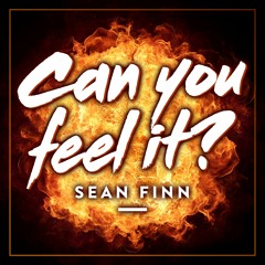 Sean Finn - Can You Feel It ( Original Mix )Snippet
