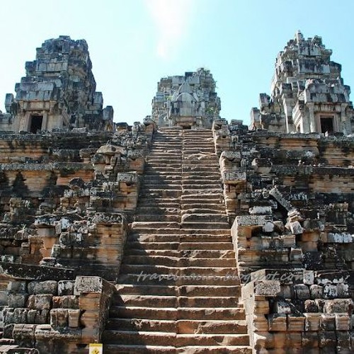 Jungle cicadas at Angkor Wat temples, Cambodia (low)