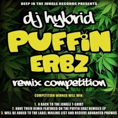 DJ Hybrid - Puffin Da Erb (Luke EP Remix) VS Dub FX