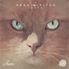 [Suara199] Prok & Fitch - Hot Controller (Original Mix) Snippet
