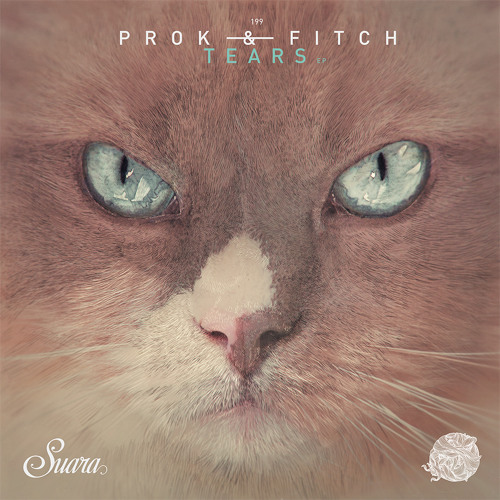 [Suara199] Prok & Fitch - Hot Controller (Original Mix) Snippet