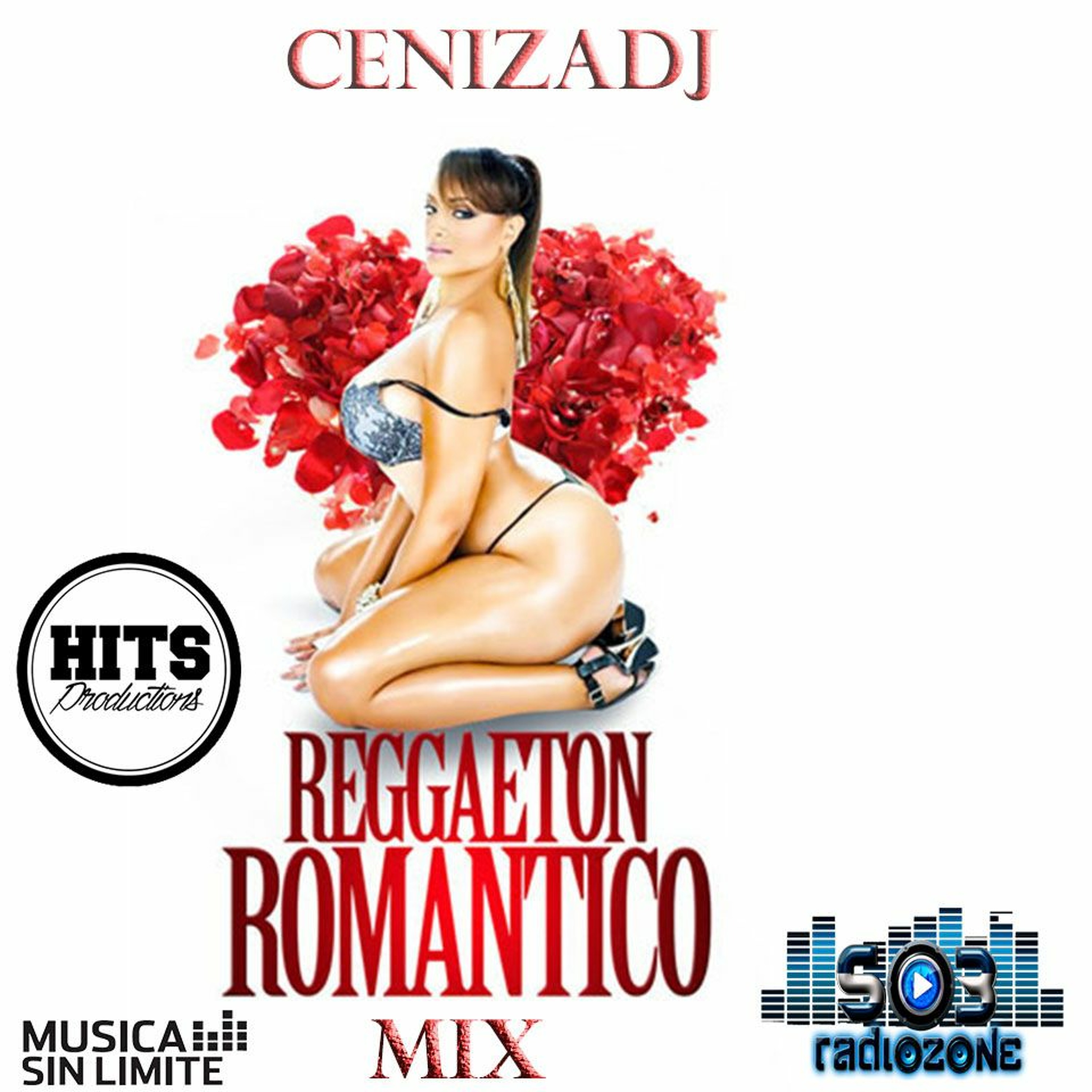 CENIZADJ