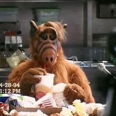 Alf Theme Song