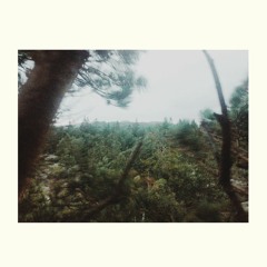 The Echo Field - Is He Gone