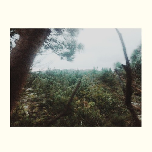 The Echo Field - Is He Gone