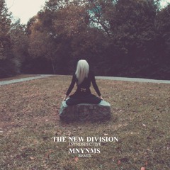 THE NEW DIVISION - INTROSPECTIVE (MNYNMS REMIX)