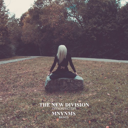 THE NEW DIVISION - INTROSPECTIVE (MNYNMS REMIX)