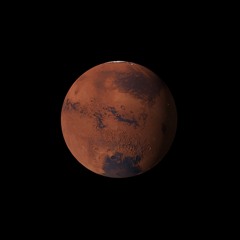 Microbes on Mars and Antarctic soil fungi