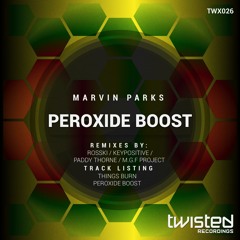 Marvin Parks - Things Burn (Paddy Thorne Remix)