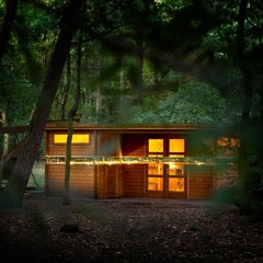 Dåbermann - Radio Forest Soundscape (2010)