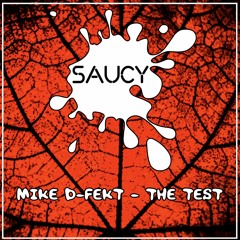 Mike D-Fekt - The Test