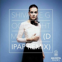 Shivaree - Goodnight Moon (DiPap Remix) FREE DOWNLOAD