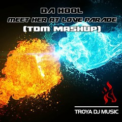 Da Hool - Meet Her At Love Parade (TDM Mashup) Free Download!