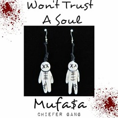 Won't Trust A Soul