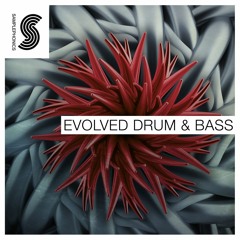 Evolved Drum & Bass