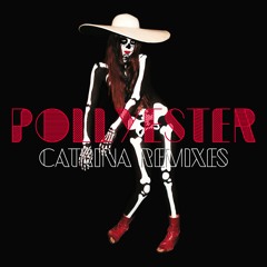 Pollyester - Catrina - Remix Snippets