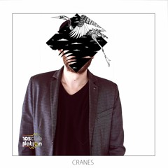 Monkey Safari - Cranes (Deface Remix)