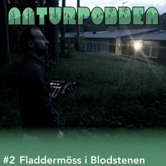 Avsnitt 2 - Fladdermöss i Blodstenen