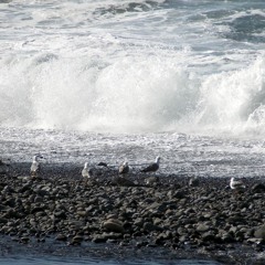 Strong Waves On Pebbles, Devon, 1993