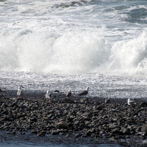 Strong Waves On Pebbles, Devon, 1993