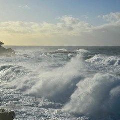 Sounds of the Seaside