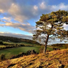 Common Land