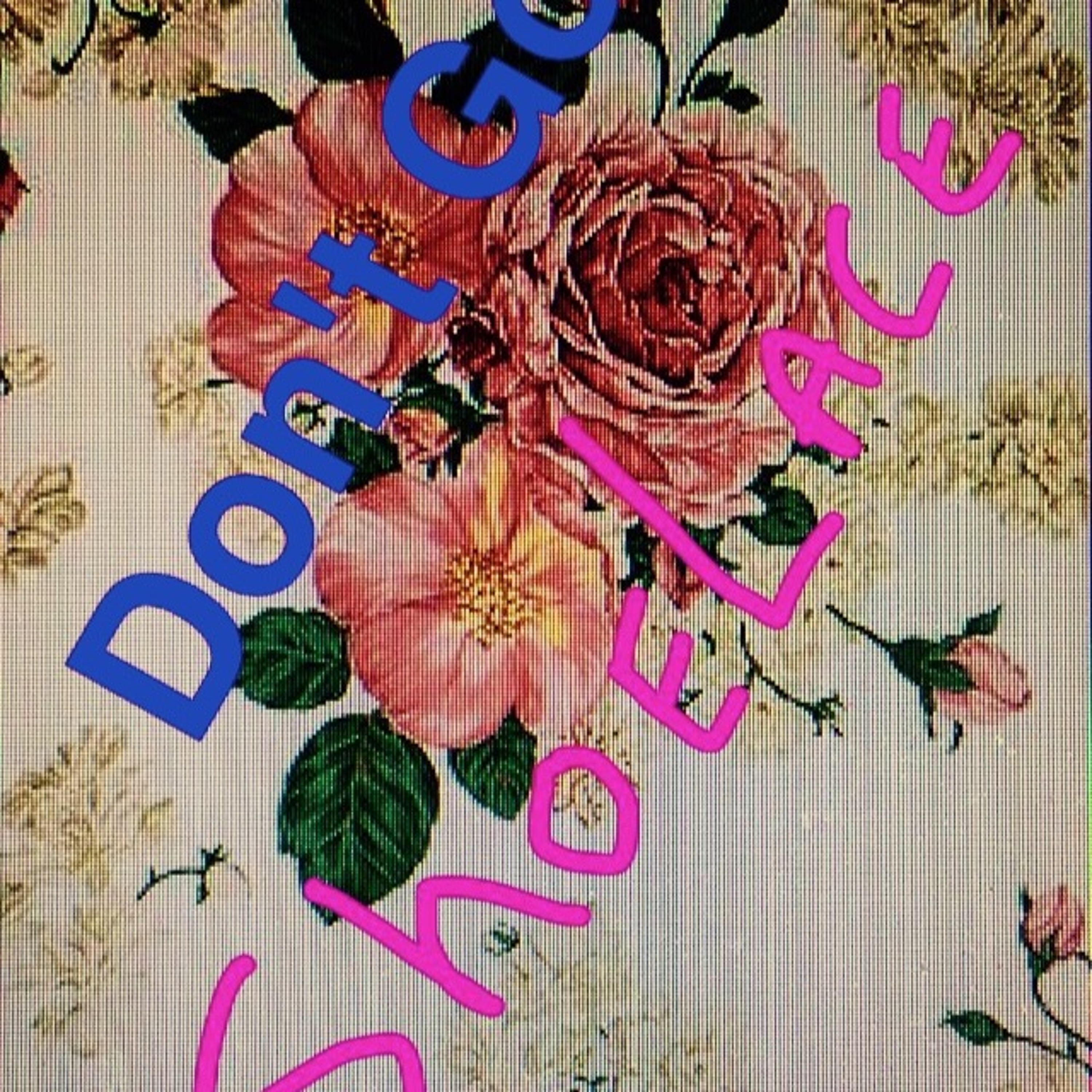 ShoeLace - Dont Go episode artwork