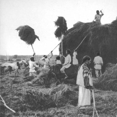 Зажурилася бідная удивонька (косарська)