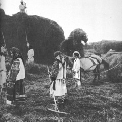 Ой рано - рано як трава ще з росою (косарська)