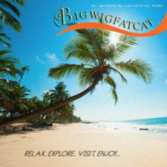 Let me put some hula in it