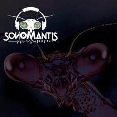TheSonomantisProject 2015 - LaMusa(acústico)EspacioAPA-Lmar-ECOrds
