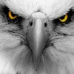 Young Eagle ft QuiSe