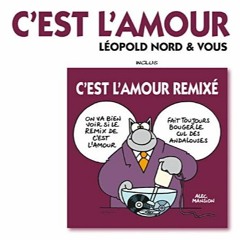 Leopold Nord & Vous Vs Access Denied (C'est L'Amour Mashup)