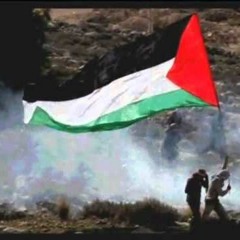 نشيد الوطن العربي الجديد - موطني