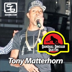 Dancehall Dinosaur Tony Matterhorn Interview