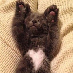 [ FEATURE ] -  Alok & Shapeless - Who Gives [FEATURE001]