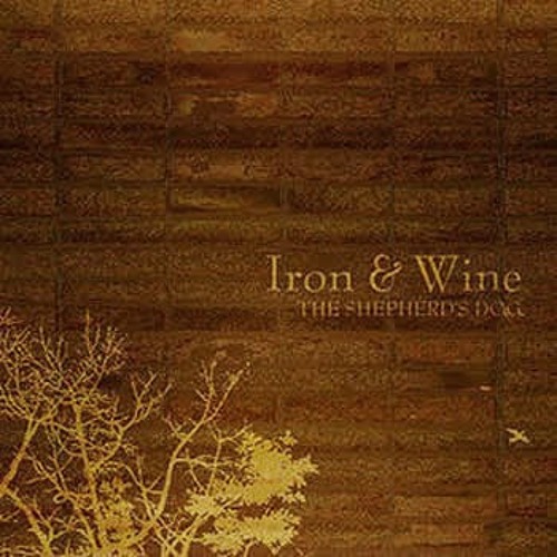 Stream Flightless Bird American Mouth Iron Wine Cover By Kevin Aroli Listen Online For Free On Soundcloud