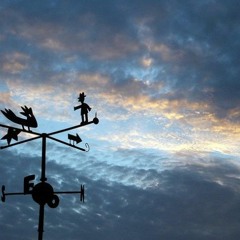 Buscando El Sentido - Fabian, Francisca Y Felix