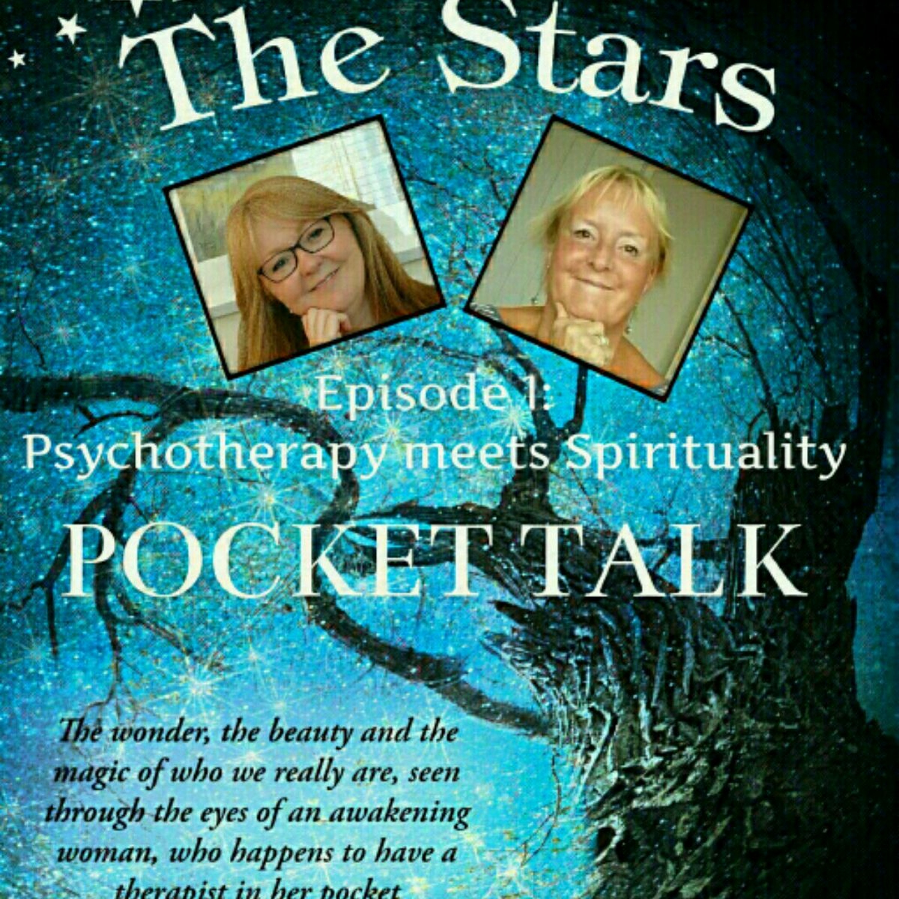 The Therapist in my Pocket, Pocket Talk