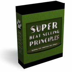 How To Sell Beats In 2015 | sellbeatsfast.com |