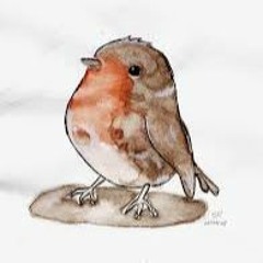 Lonely Little Robin