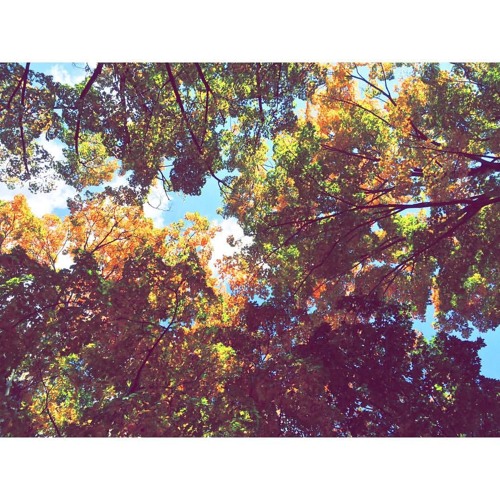 For What It's Worth (The Lone Bellow version)