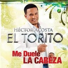 HECTOR ACOSTA EL TORITO ME DUELE LA CABEZA