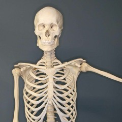 Plowing Into The Field Of Love [cover]