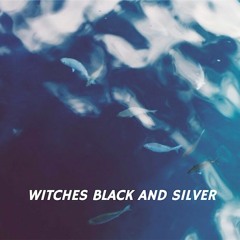 Witches Black and Silver (inspiration)