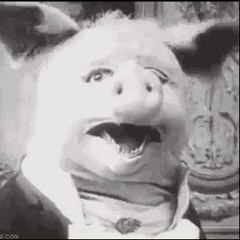 Pigs Are Dancing (In The Moonlight)