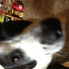 Cool Music Our Friends Make