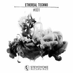 THe WHite SHadow (FR) - Station (Original Mix) | Steyoyoke