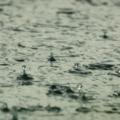 Light Rainfall, Colombia, September 1988