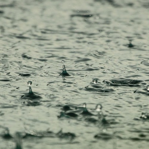 Light Rainfall, Colombia, September 1988